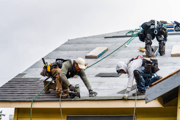 Professional Roofing technician working in Truesdale, MO